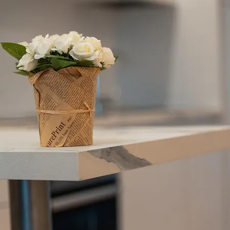 Ray 2 San Siro Milan